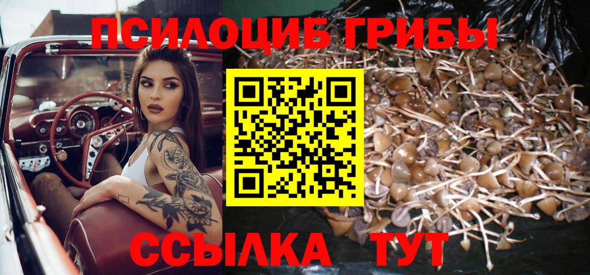 Топки  Галлюциногенные грибы мухоморы  Псилоцибиновые грибы Psilocybine cubensis  Вход с VPN 