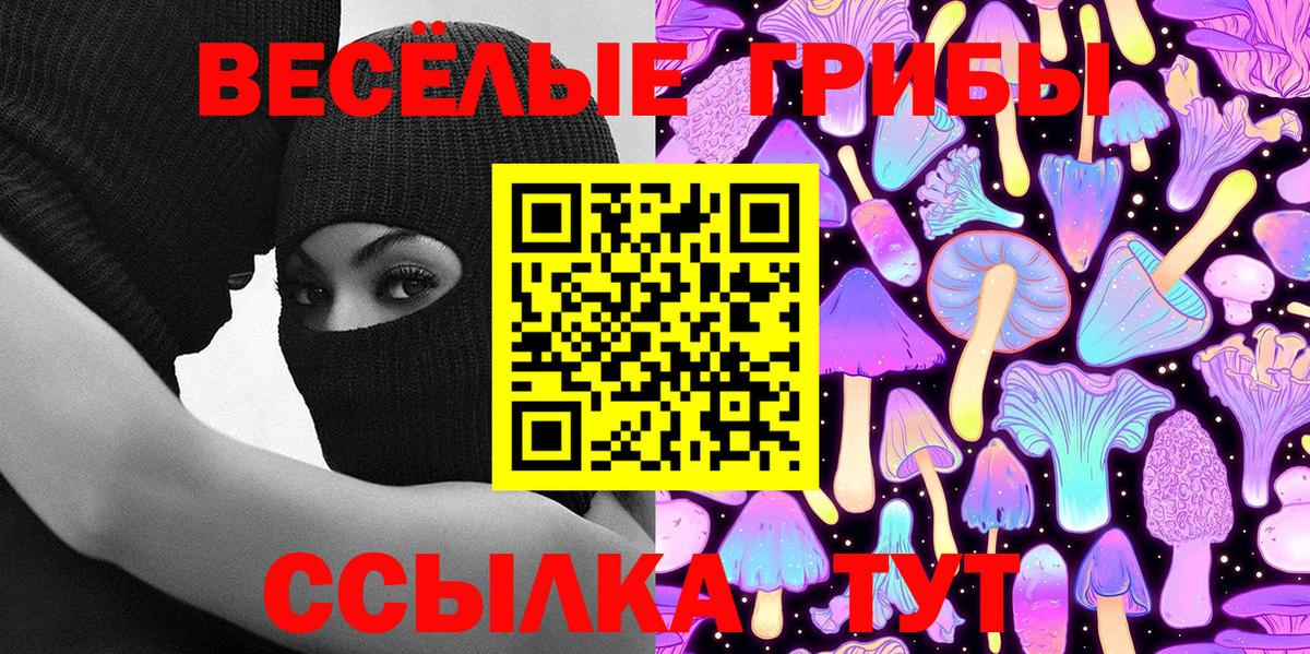 Псилоцибиновые грибы Psilocybe Топки